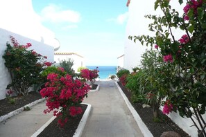 Property grounds - Bungalow with 2 bedrooms (Costa Calma)