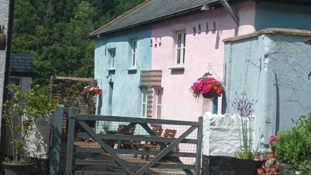 Un edificio de dos pisos con fachada rosa y azul, una verja de madera y un jardín con plantas y flores en macetas.