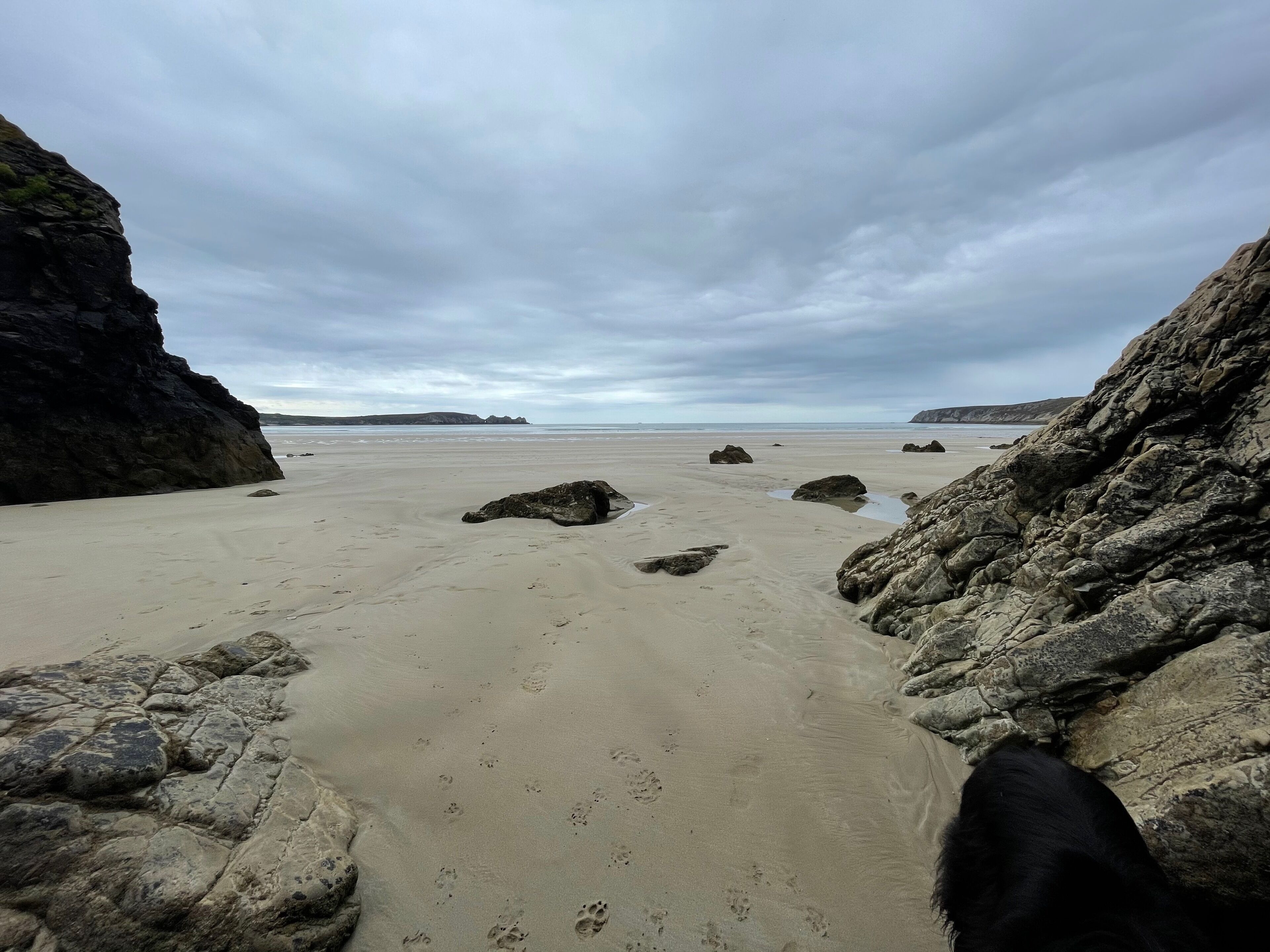 Plage, chaises longues, serviettes de plage