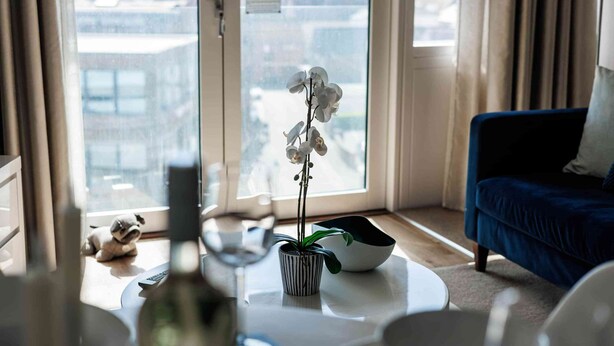 A living room with a large window, a blue sofa, a white coffee table, and a potted orchid.