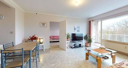 Brussels Cosy Sunny Home