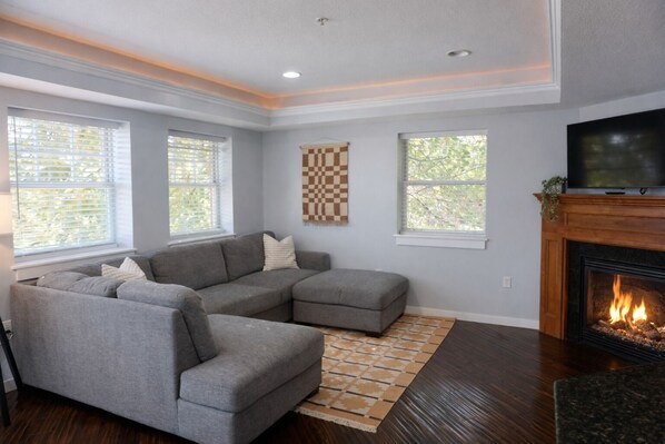 TV, fireplace