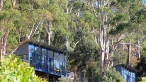 A vineyard path leading to a modern glasshouse structure amidst lush greenery.