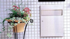 Pared de azulejos con un letrero enmarcado que dice 'TABIU XBRIGO' y una planta en maceta con enredaderas colgantes.