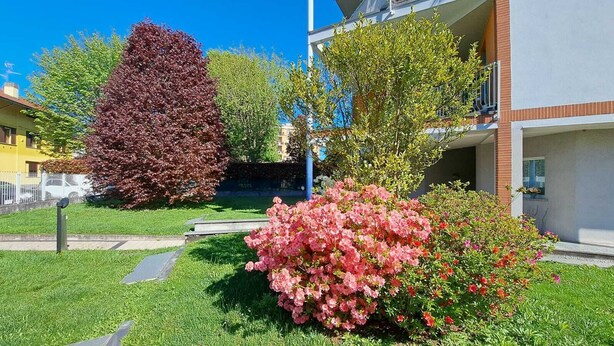 A residential area with a well-maintained lawn, a large bush with pink flowers, and a tall tree with dark foliage. - Apartment MXP Milan Como Laghi free private parking (Castellanza)