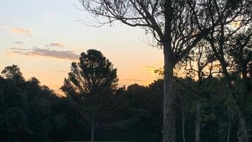 Un campo cubierto de hierba con un árbol grande y un banco a lo lejos.