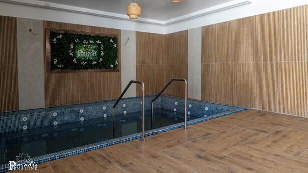 A modern indoor swimming pool with wooden paneling and a decorative wall. - Pensiunea Paradis Buzias (Buzias)