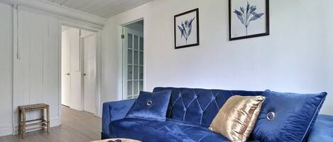 Télévision, cheminée, livres, espaces bureaux