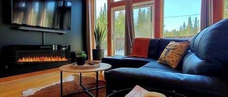 TV, fireplace, offices