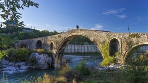 Un ponte in pietra con diverse arcate che sovrasta un fiume, immerso nel verde.