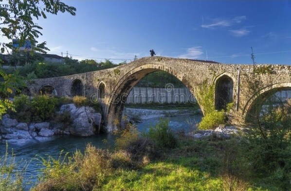 A stone bridge with multiple arches over a river, surrounded by greenery.