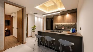 Elite-huoneisto, kaupunkinäköala | Yksityinen keittiö | Jääkaappi, mikroaaltouuni, liesi, kahvin-/teenkeitin