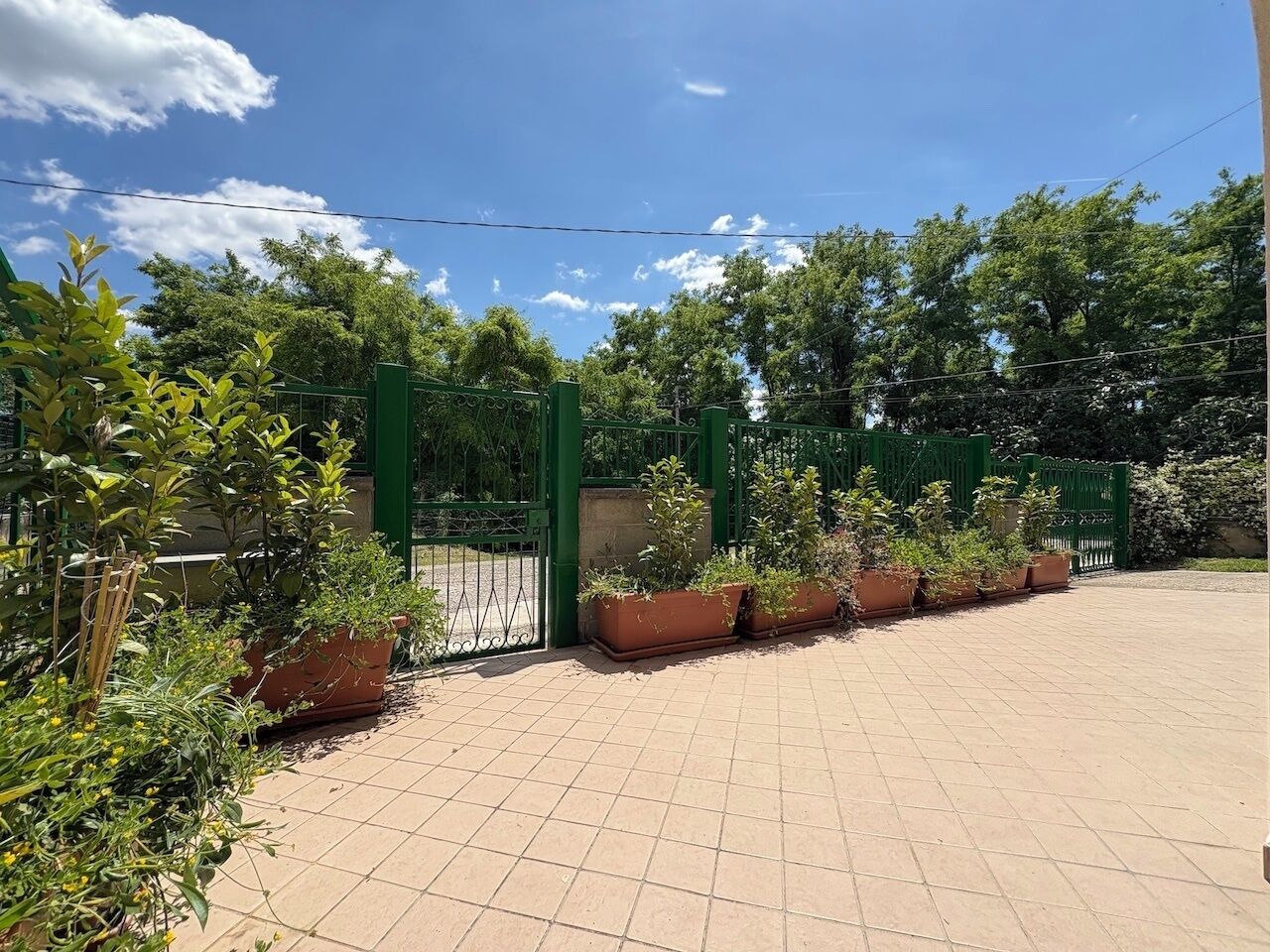 Un espace extérieur dallé, avec une porte verte, des plantes en pot et des arbres en arrière-plan.
