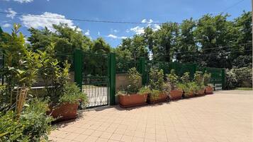 Un espace extérieur dallé, avec une porte verte, des plantes en pot et des arbres en arrière-plan.