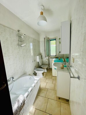 Assecador de cabells, bidet, tovalloles i sabó 