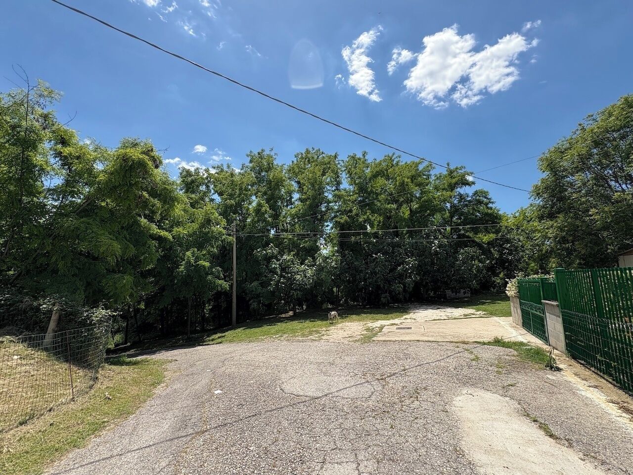 Una strada sterrata conduce a un'area recintata, con alberi e cielo sereno.