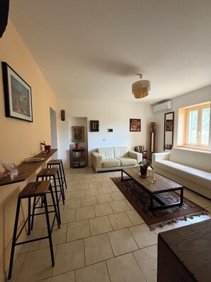 TV connectée, cheminée, livres, médiathèque