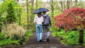 A couple walking on a stone pathway surrounded by lush greenery and trees.