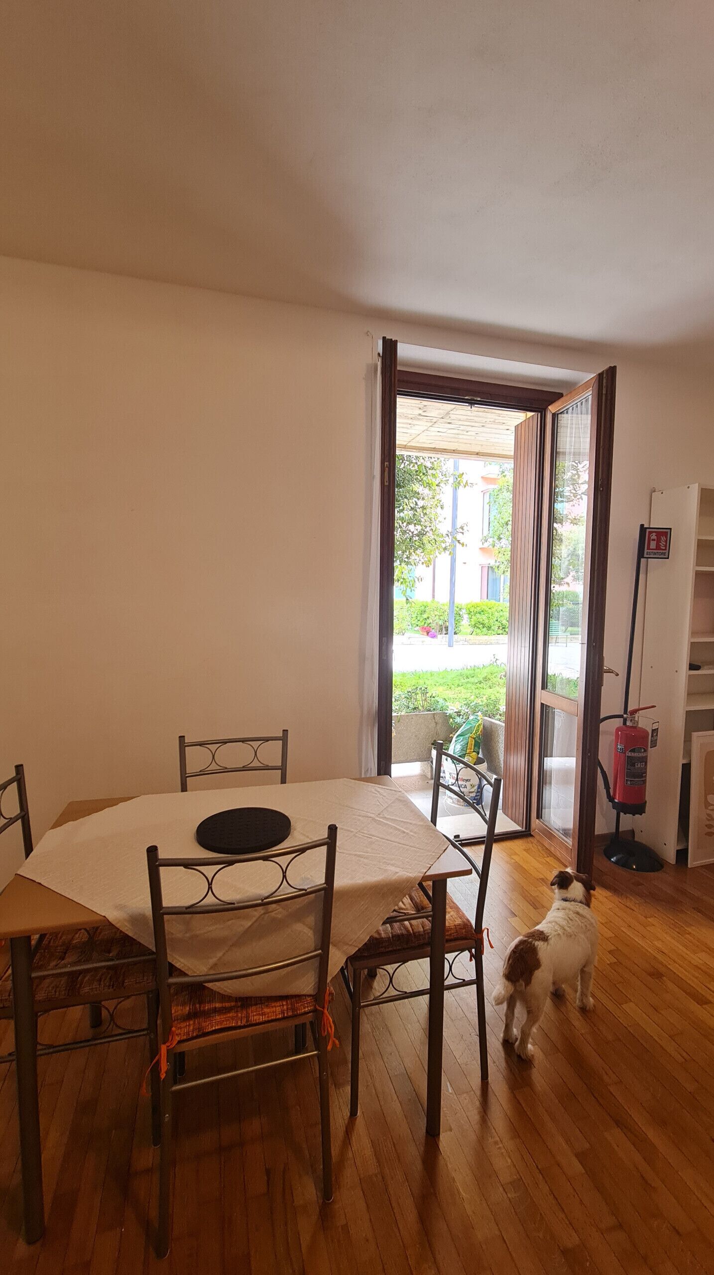 A dining area with a table and chairs, a small dog, and a view of a garden through an open door.