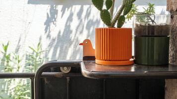 Apartament Deluxe | Terrassa o pati