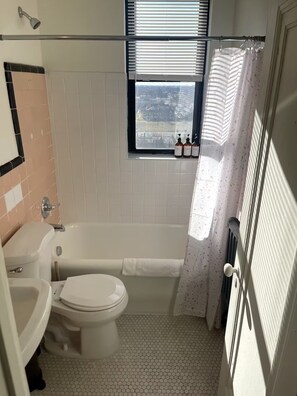Hair dryer, towels, soap, toilet paper