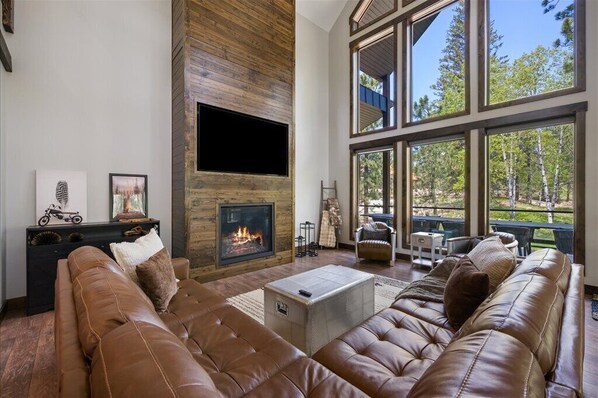 TV, fireplace, books