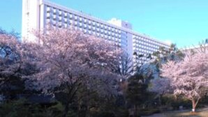 A large building with a modern architectural style, surrounded by trees with pink blossoms. - Deluxe Triple Room hotel with AC, fitness room, WiFi in amazing Minato City (Minato City)