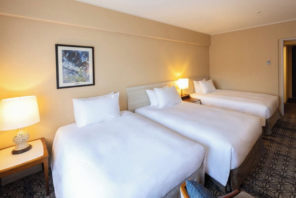 1 slaapkamer, een strijkplank/strijkijzer, wifi, beddengoed