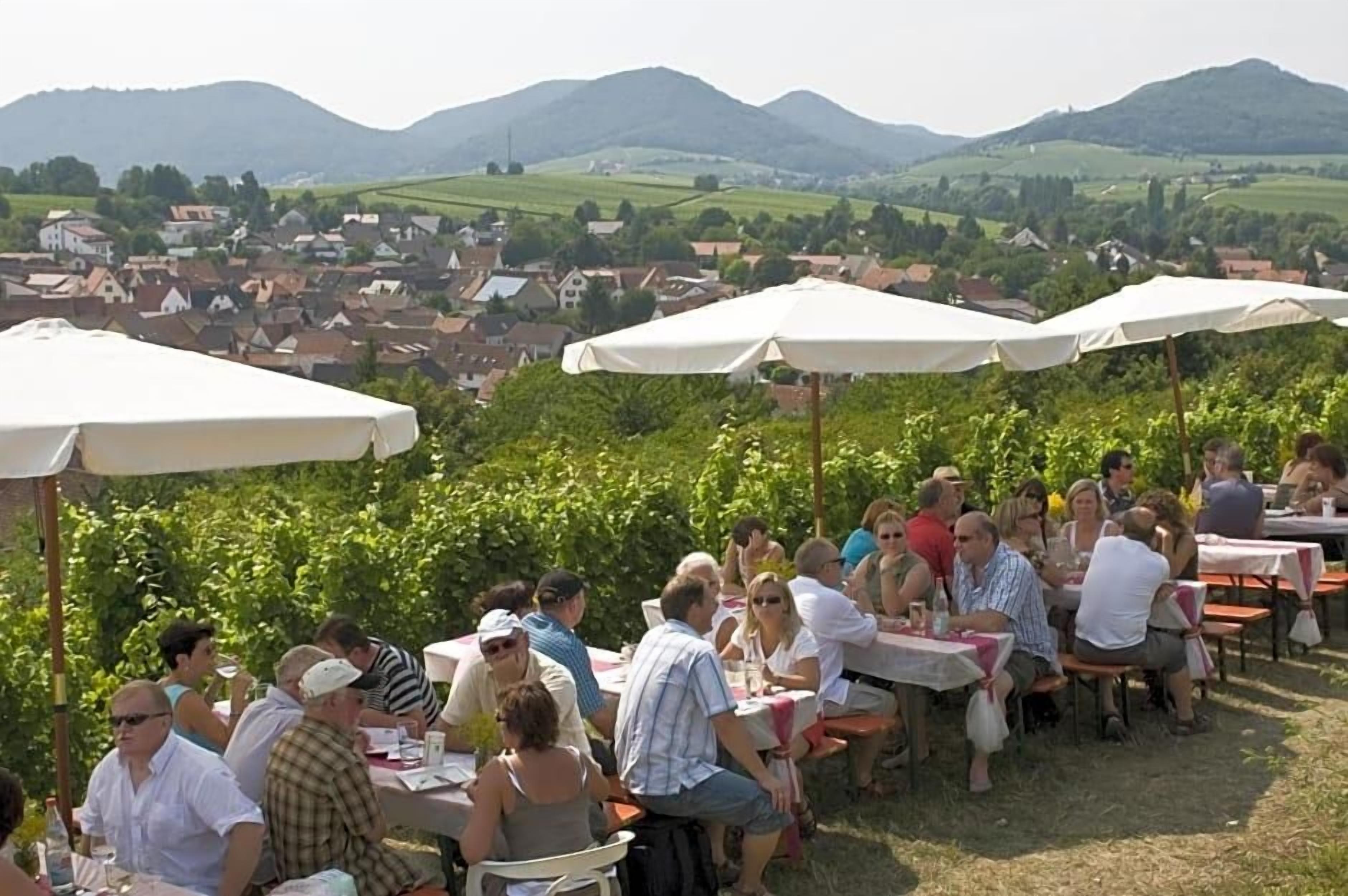 Ein Essbereich im Freien mit Tischen und Sonnenschirmen mit Blick auf eine Stadt und Hügel.