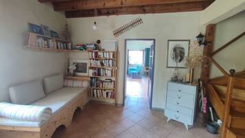 TV connectée, cheminée, livres