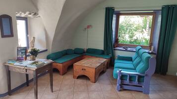 TV connectée, cheminée, livres