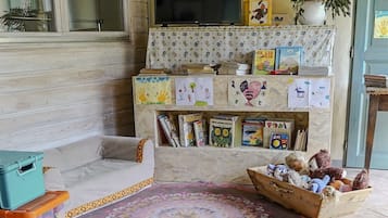 TV connectée, cheminée, livres