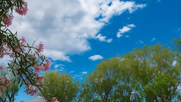 Alberca al aire libre por temporada