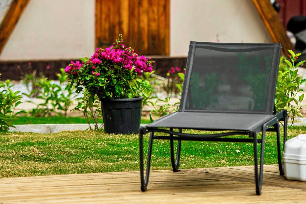 واي فاي مجانًا