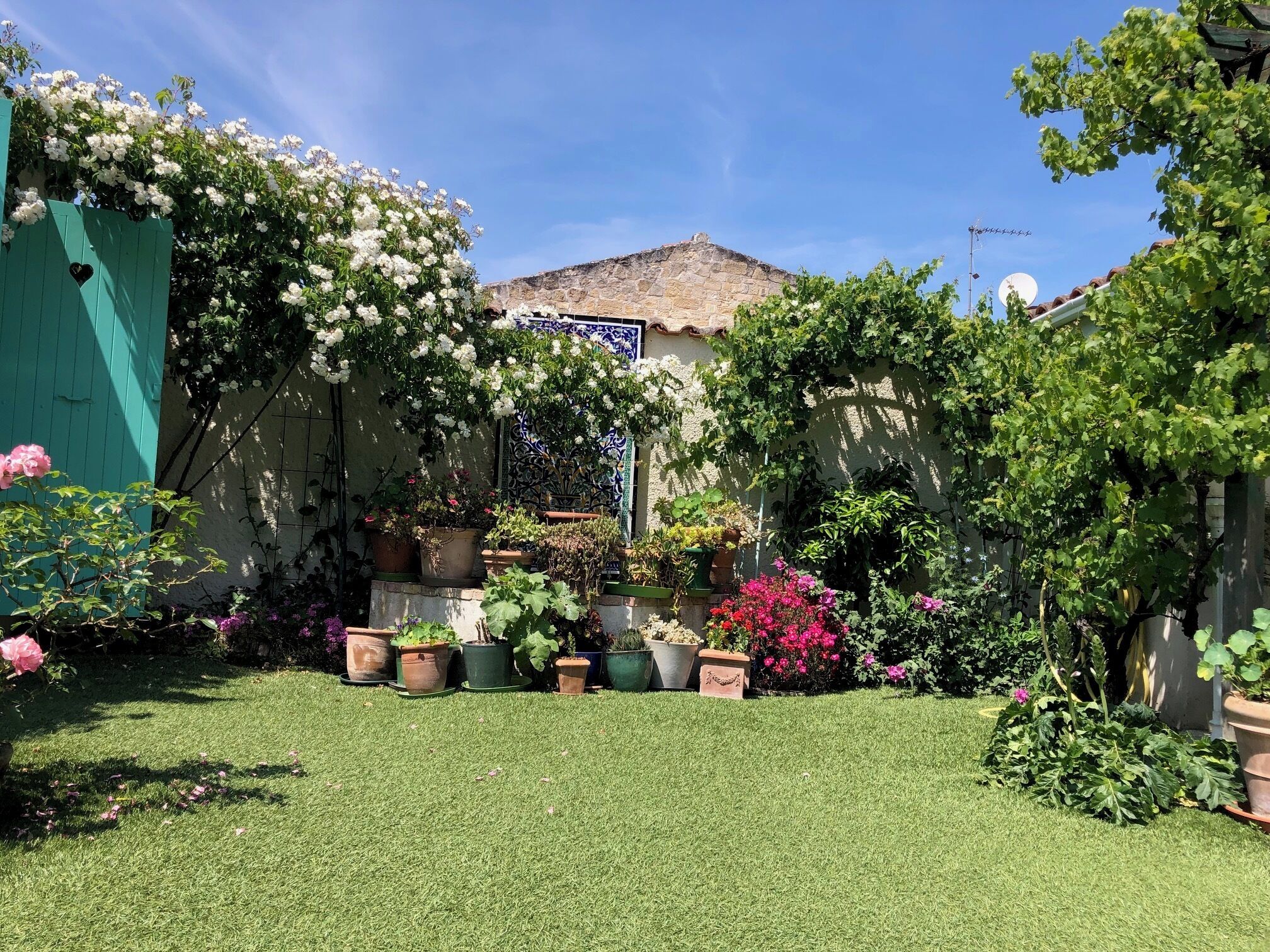 A garden with various potted plants and flowers, a green gate, and a building with a tiled roof in the background.