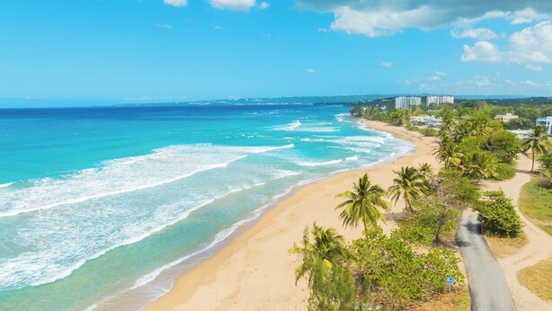 A coastal view with a sandy beach, palm trees, and a road leading to a building complex. - Vacation Home for 20 Guests with 2 Private Pools (Aguada)