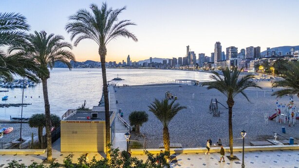 A beach with palm trees, a city skyline in the background, and a boardwalk with benches. - Brisas del Poniente-Deluxe Room Ocean View (Benidorm)