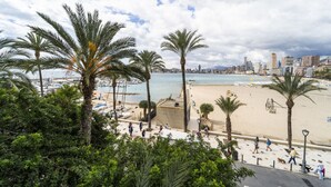 A beach with palm trees, a city skyline in the background, and a marina with boats. - Brisas del Poniente- Apt-Studio with sea views (Benidorm)
