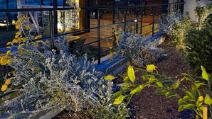 Un edificio moderno con fachada de vidrio, zona de estar al aire libre y un jardín con diversas plantas.