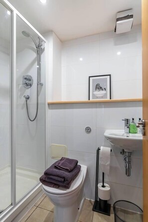 Dusche, Haartrockner, Handtücher, Shampoo