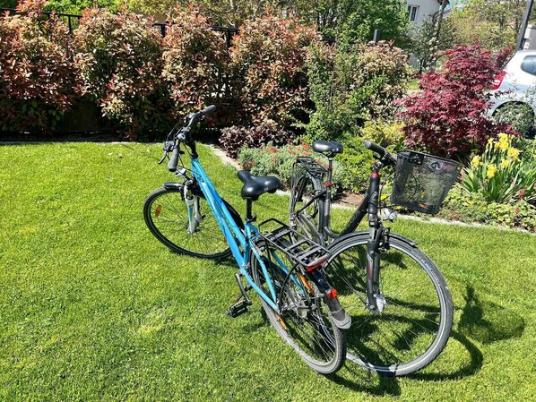 A bicycle parked on a well-maintained lawn with a variety of shrubs and flowers in the background.