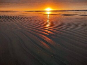 Tæt på stranden