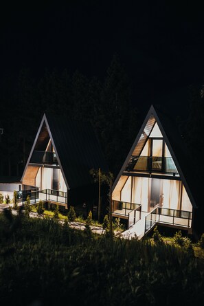 Front of property – evening/night - inwoods Tsikhisdziri (Tsikhisdziri)