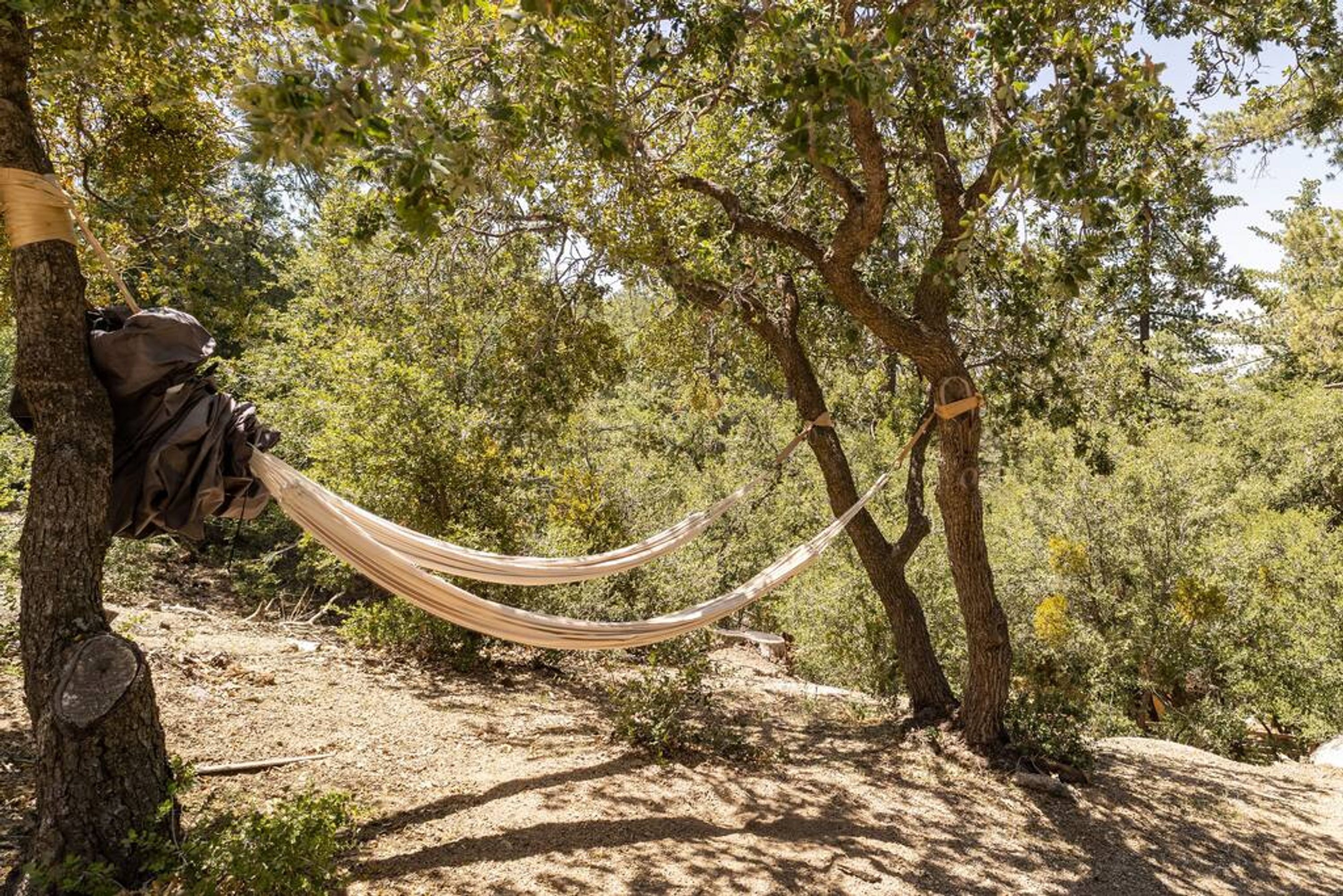 A hammock tied between trees in a natural setting.