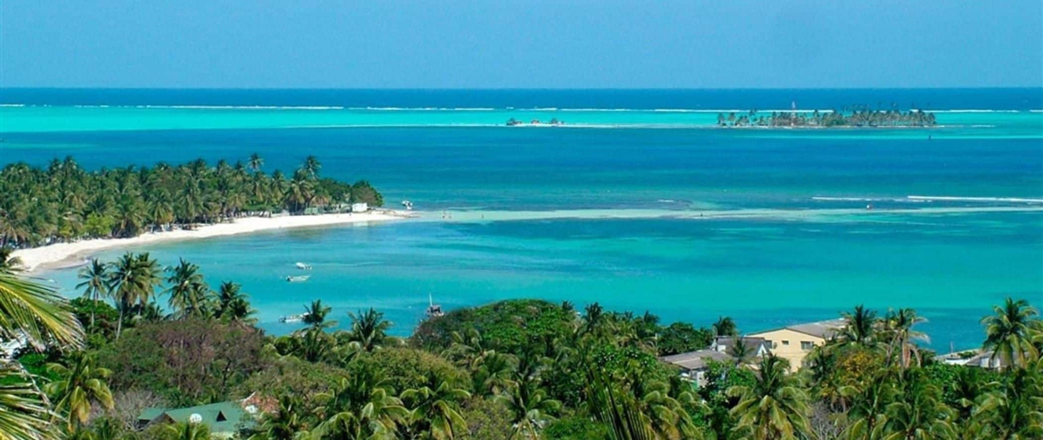 A coastal view with a beach, palm trees, and clear blue waters.