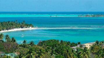 A coastal view with a beach, palm trees, and clear blue waters.