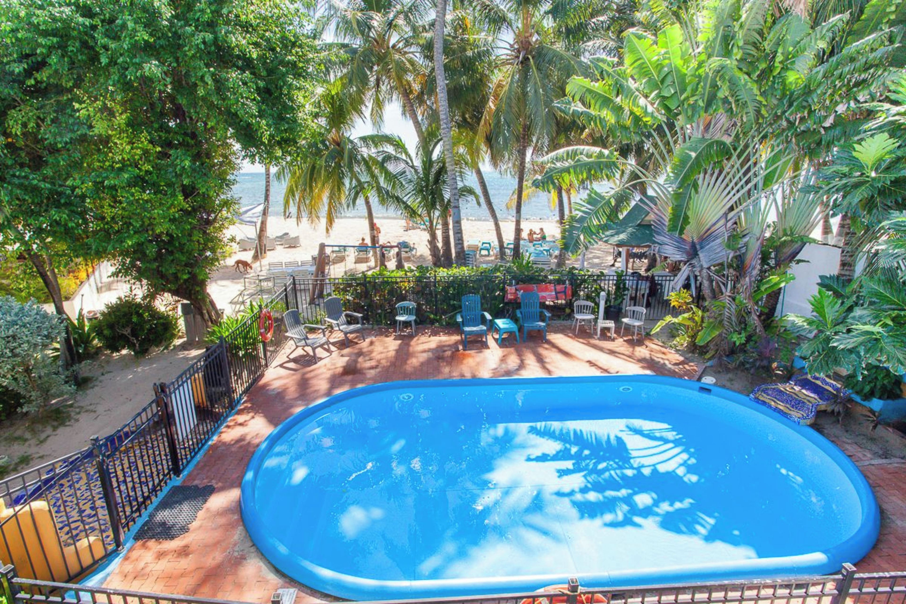 A swimming pool surrounded by palm trees and chairs, with a view of the beach in the background.