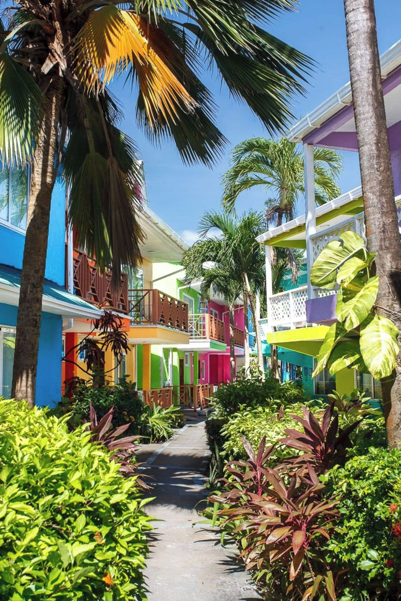 A pathway flanked by colorful buildings and lush tropical vegetation.