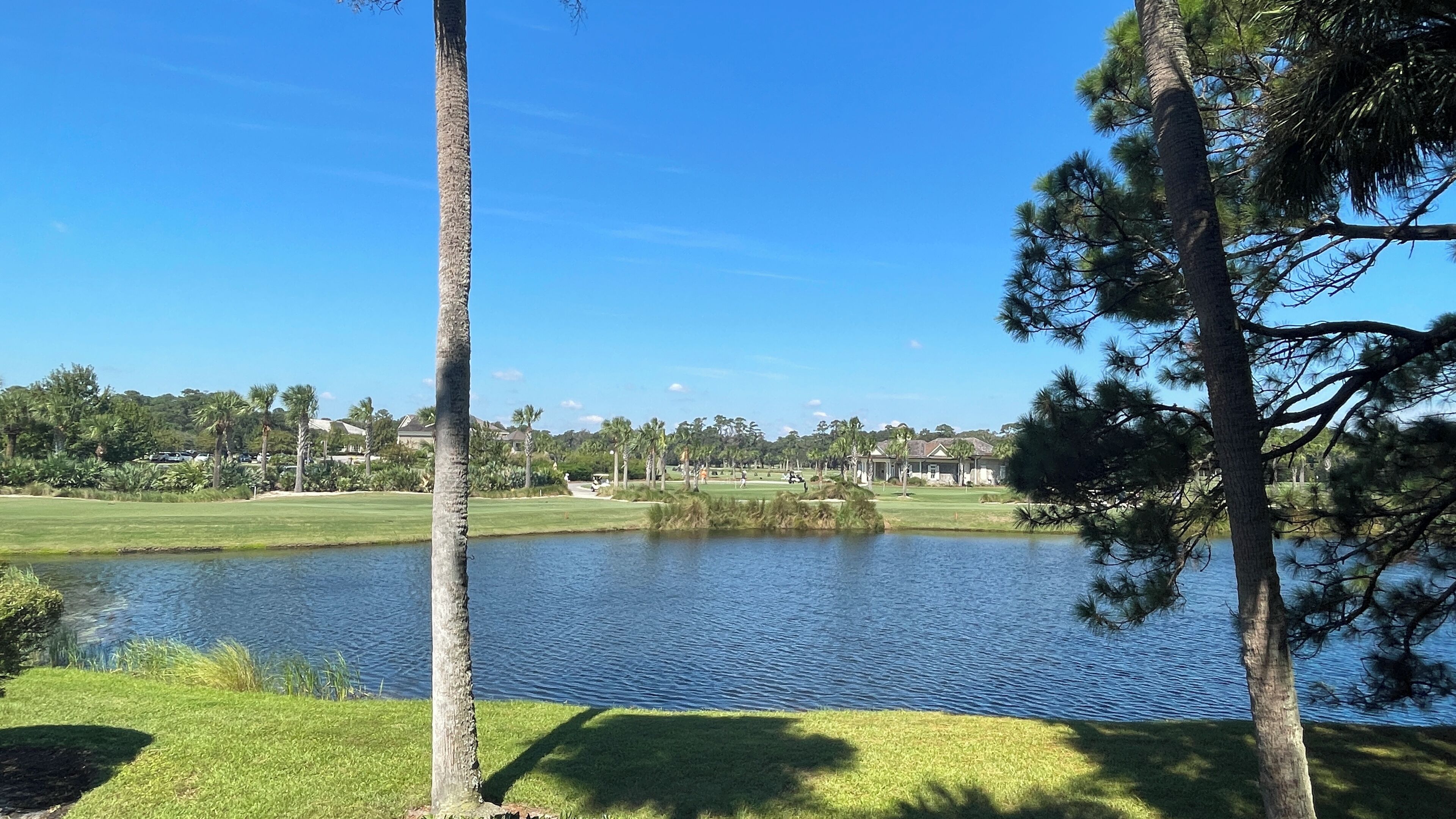 A golf course with a pond, surrounded by trees and houses in the background.
