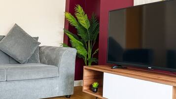 TV